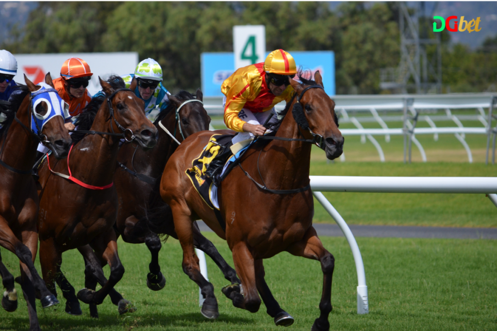 Understanding Advanced Horse Racing Bets